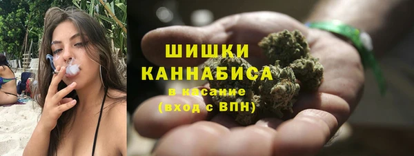 сатива Богданович
