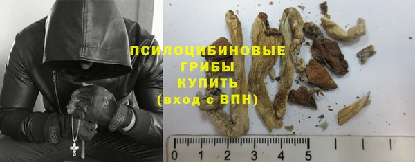 сатива Богданович