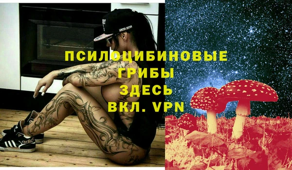 хмурый Богородицк