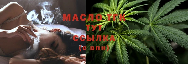 сатива Богданович
