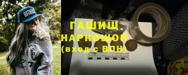 шишки Белокуриха