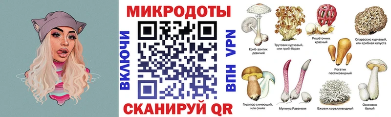 гидра как войти  Козловка  Псилоцибиновые грибы прущие грибы 
